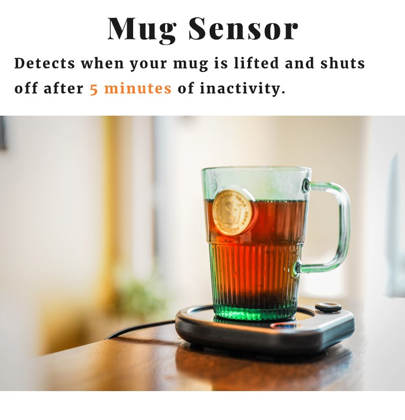 Coffee Mug Warmer with Adjustable Temperature Display